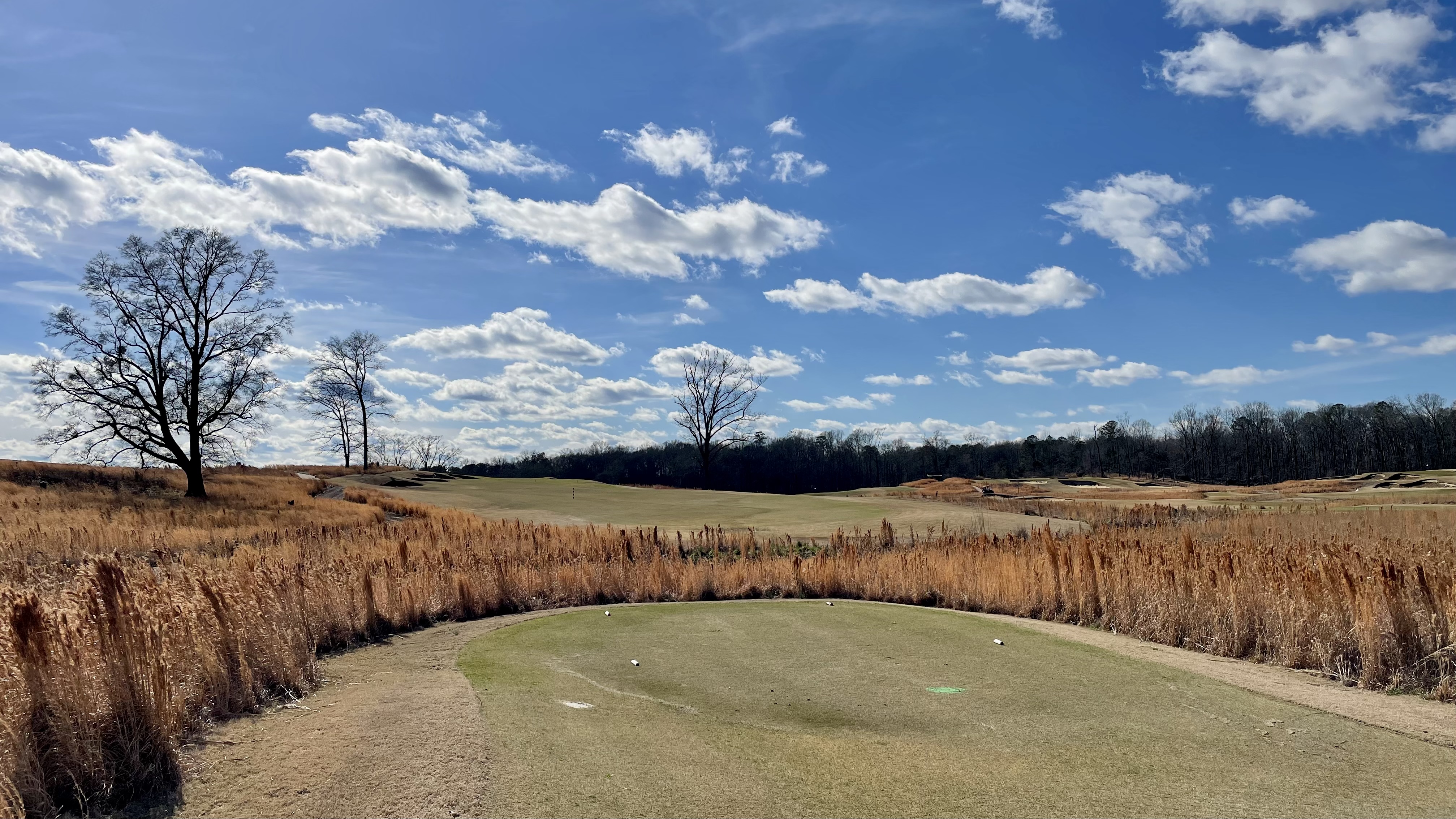 04EC66FE-FC7E-442F-8D24-50F8FCA623D8