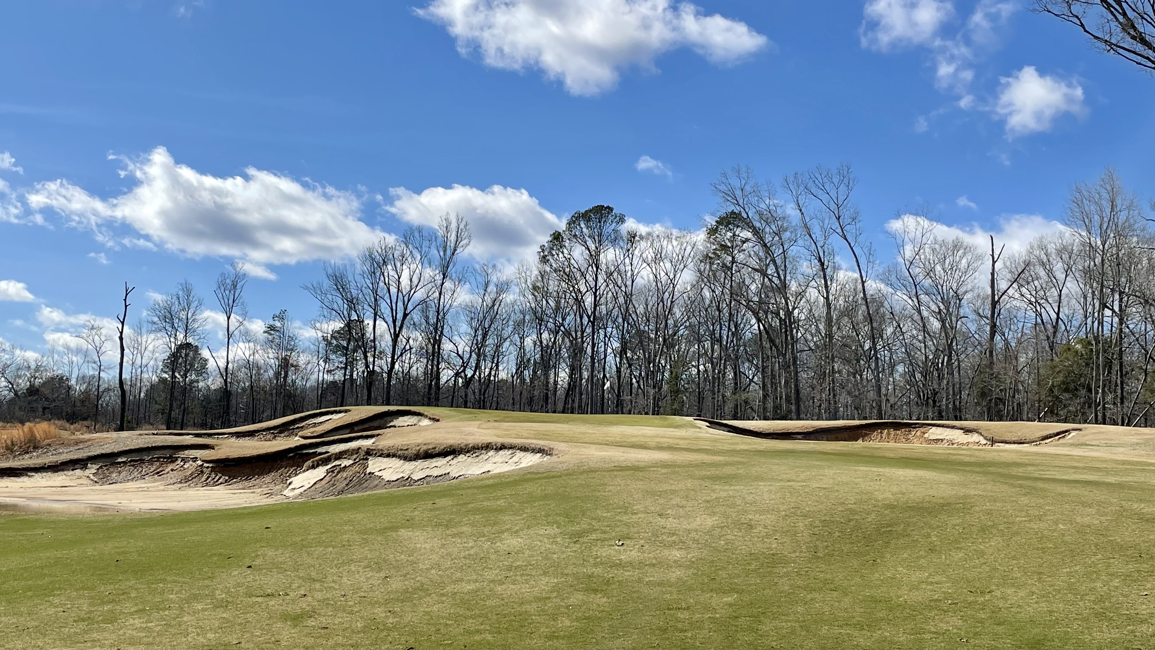 0E245E53-AA10-4D4C-97E3-4FDF6F6F9C21