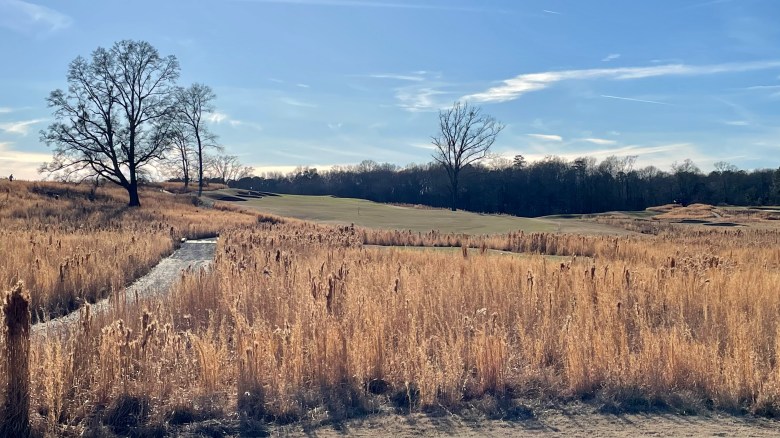 155B69D8-530B-43A5-84C6-FECBD2397EA1