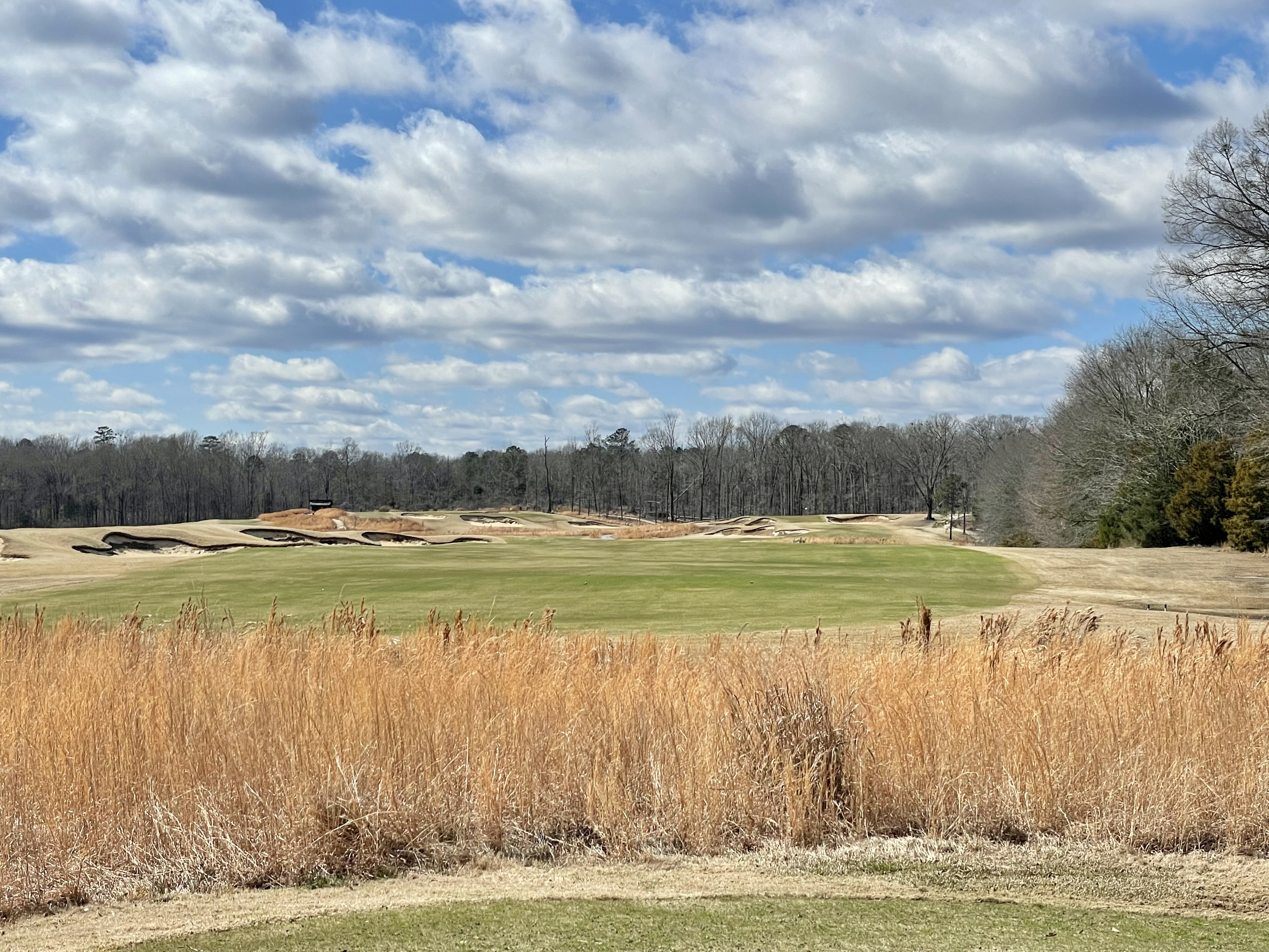 231F20FF-20F9-4150-9967-F24CA99BCBA2