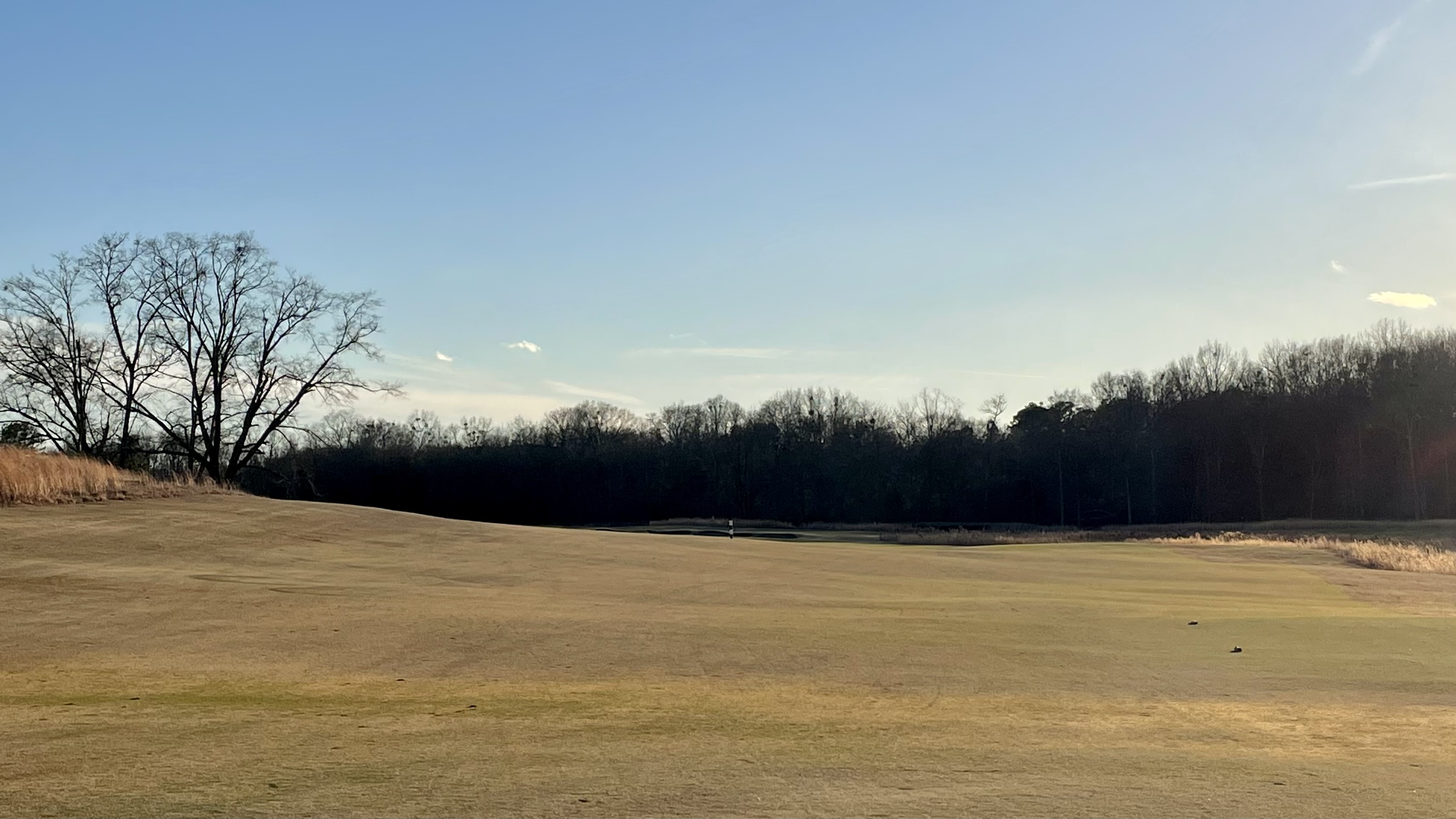 2E269DFB-85A0-4388-86FB-2FF4A86AA15F