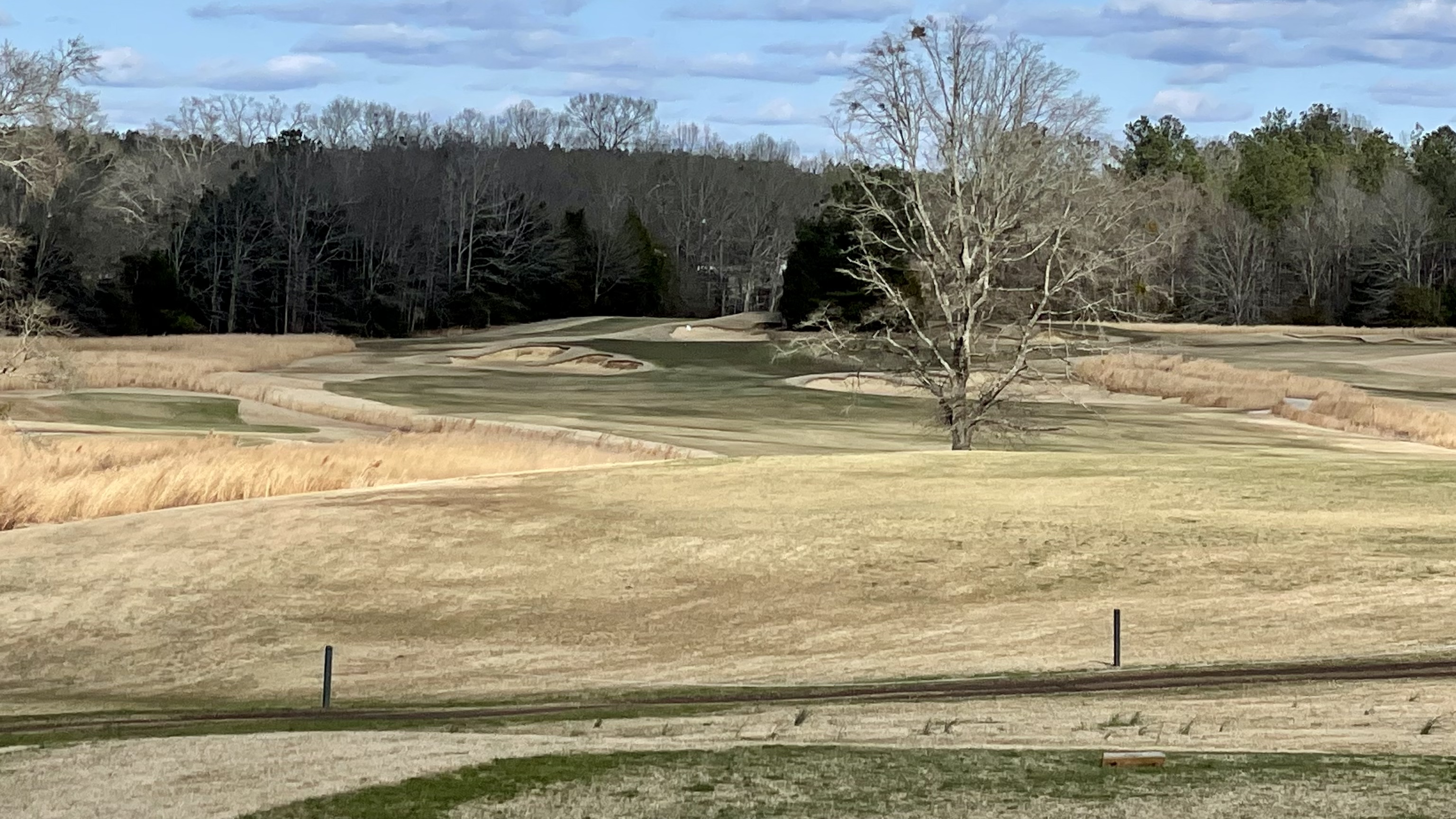 7EDF29D5-FF38-4409-B41B-2B4F62FDA2BE