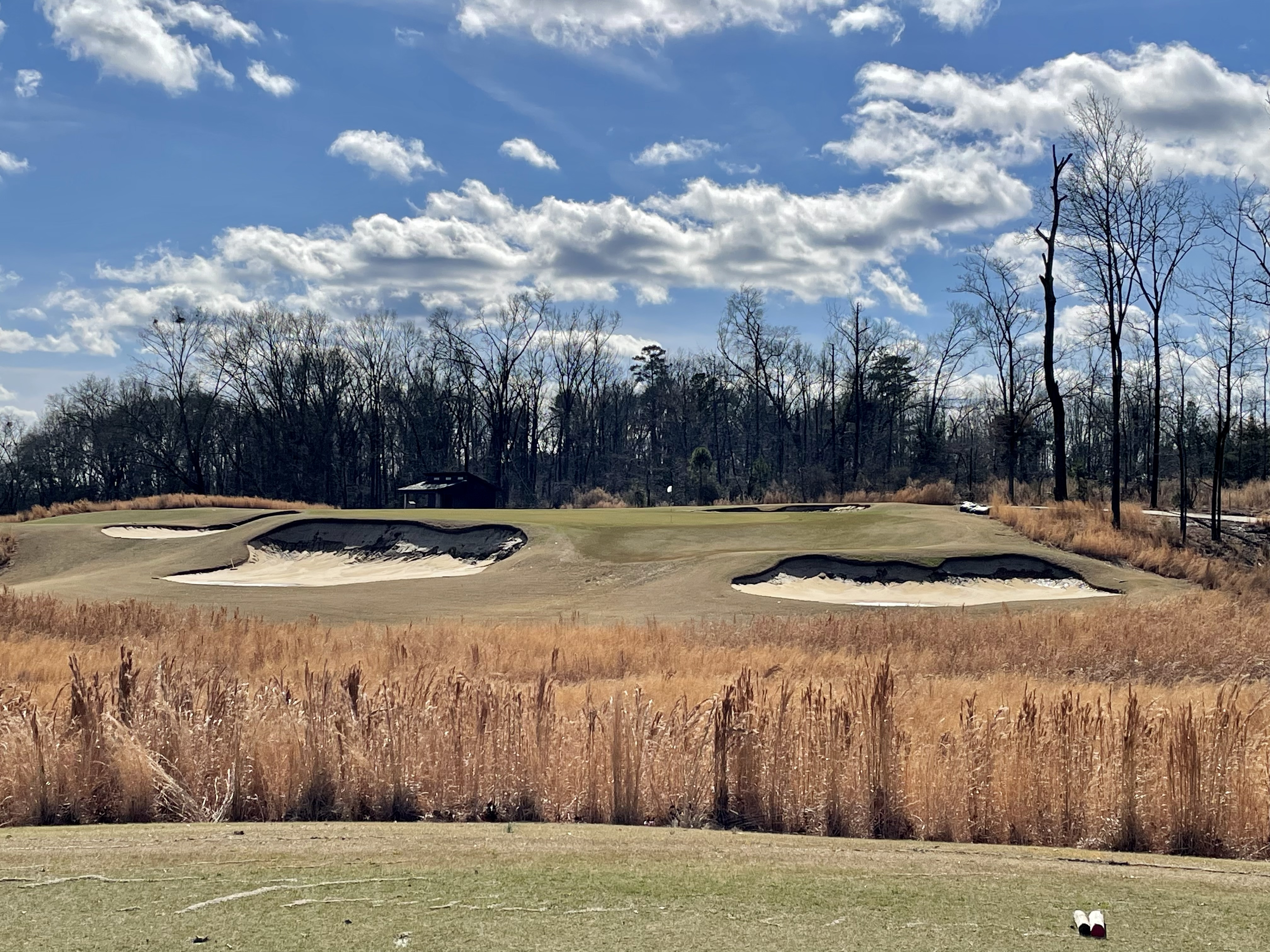 BF4B580C-7F7B-4C8D-B2A8-D430CC46A6BC