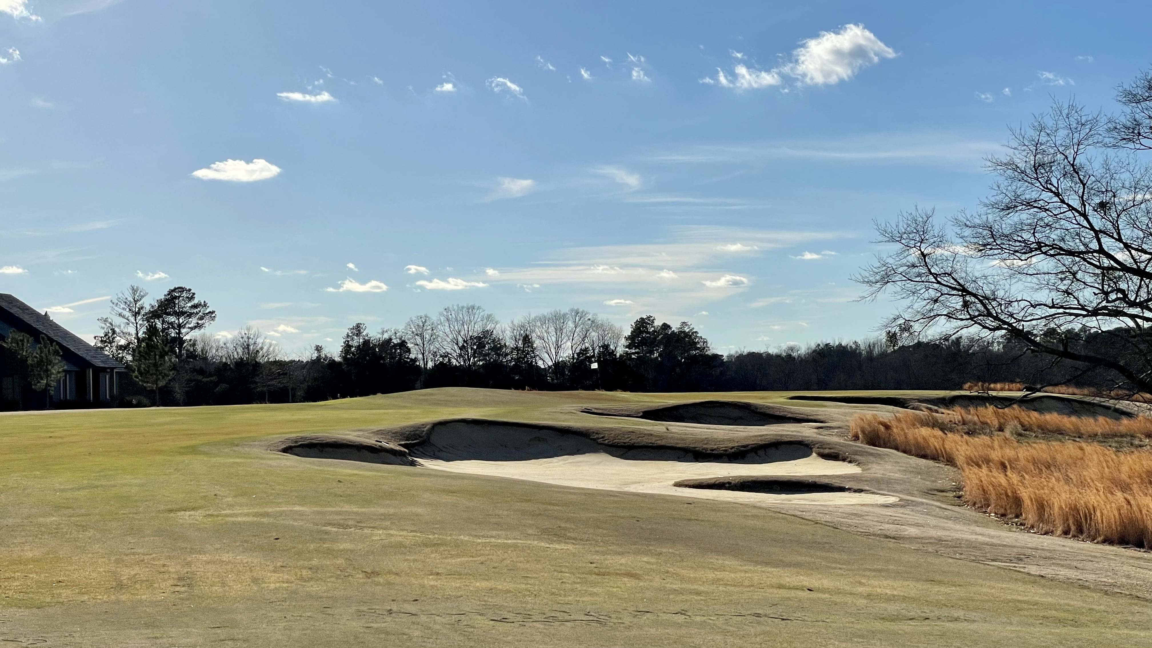 D7DD416F-D53E-450B-BD77-2B97CFD03F2F