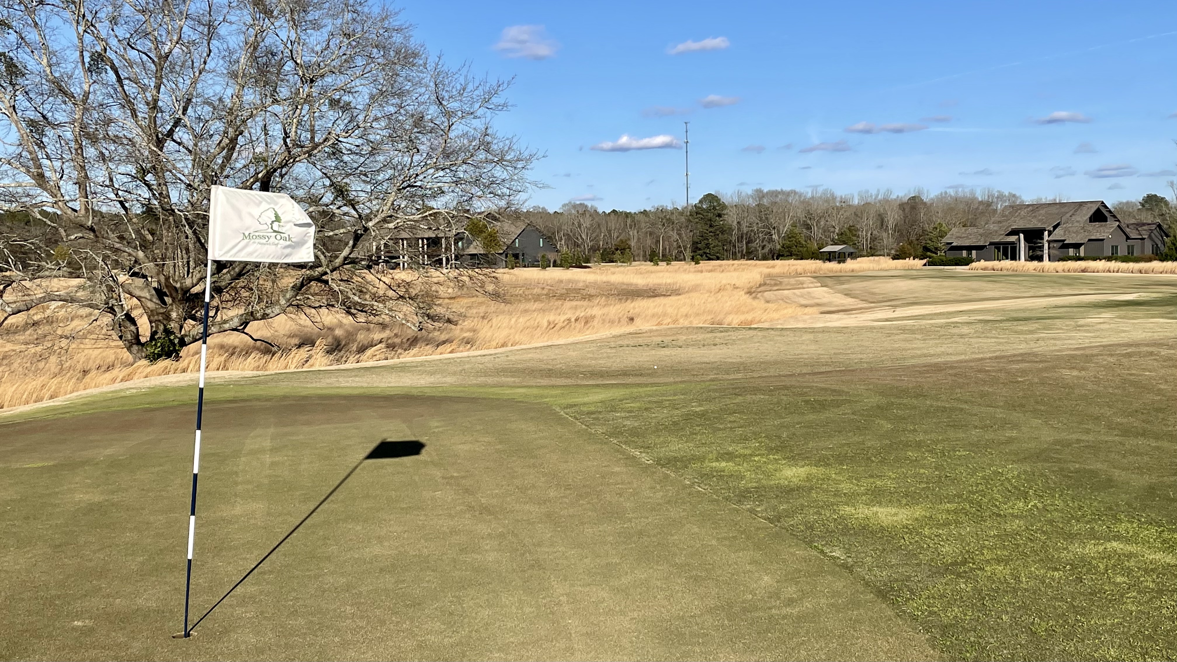 E4EE87B4-0427-43E5-A915-8D66F1B0BA34