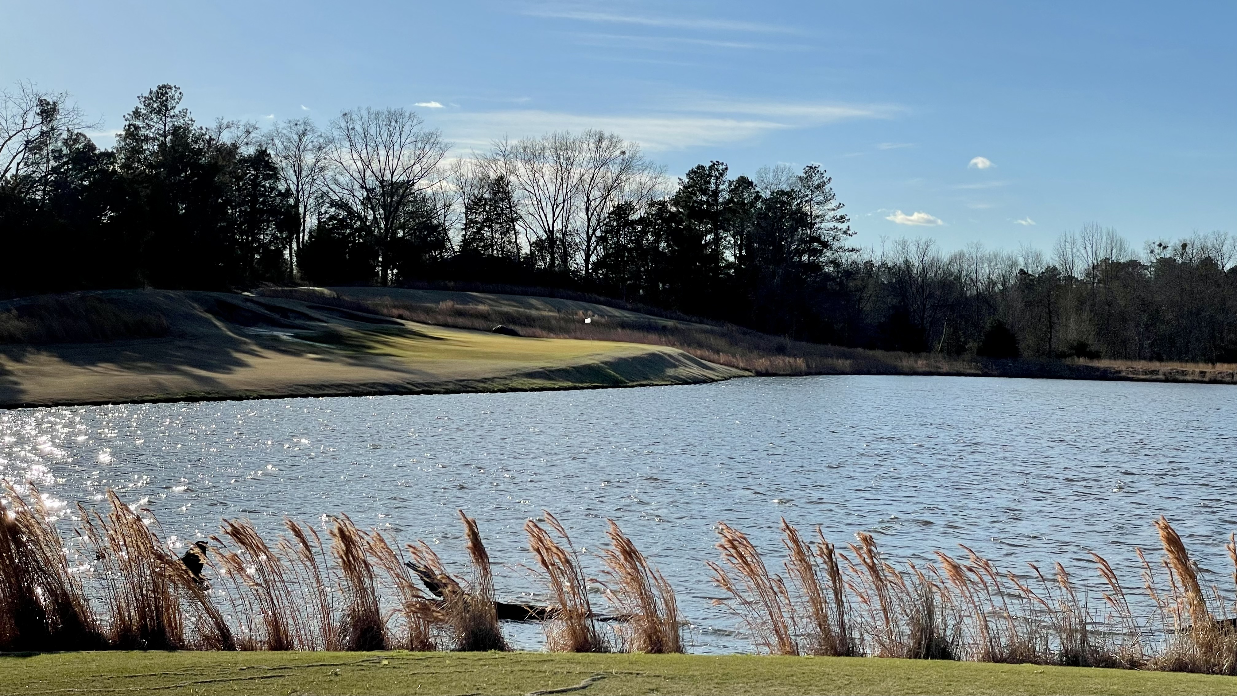 EF82601E-8084-4D11-8244-9BD72375EB65