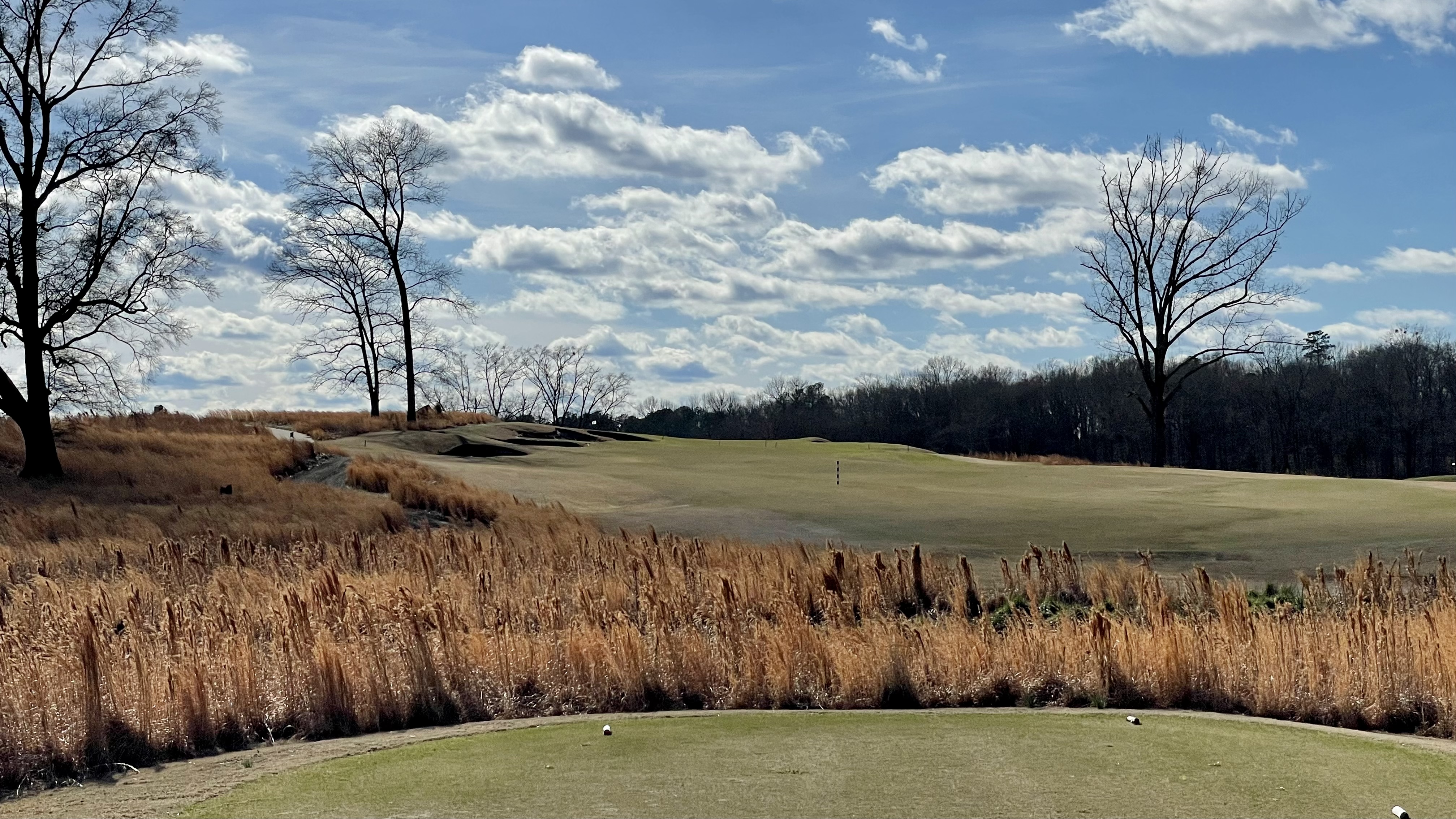 F8FD2F75-9206-4A11-8531-1D6D0E0C62C2