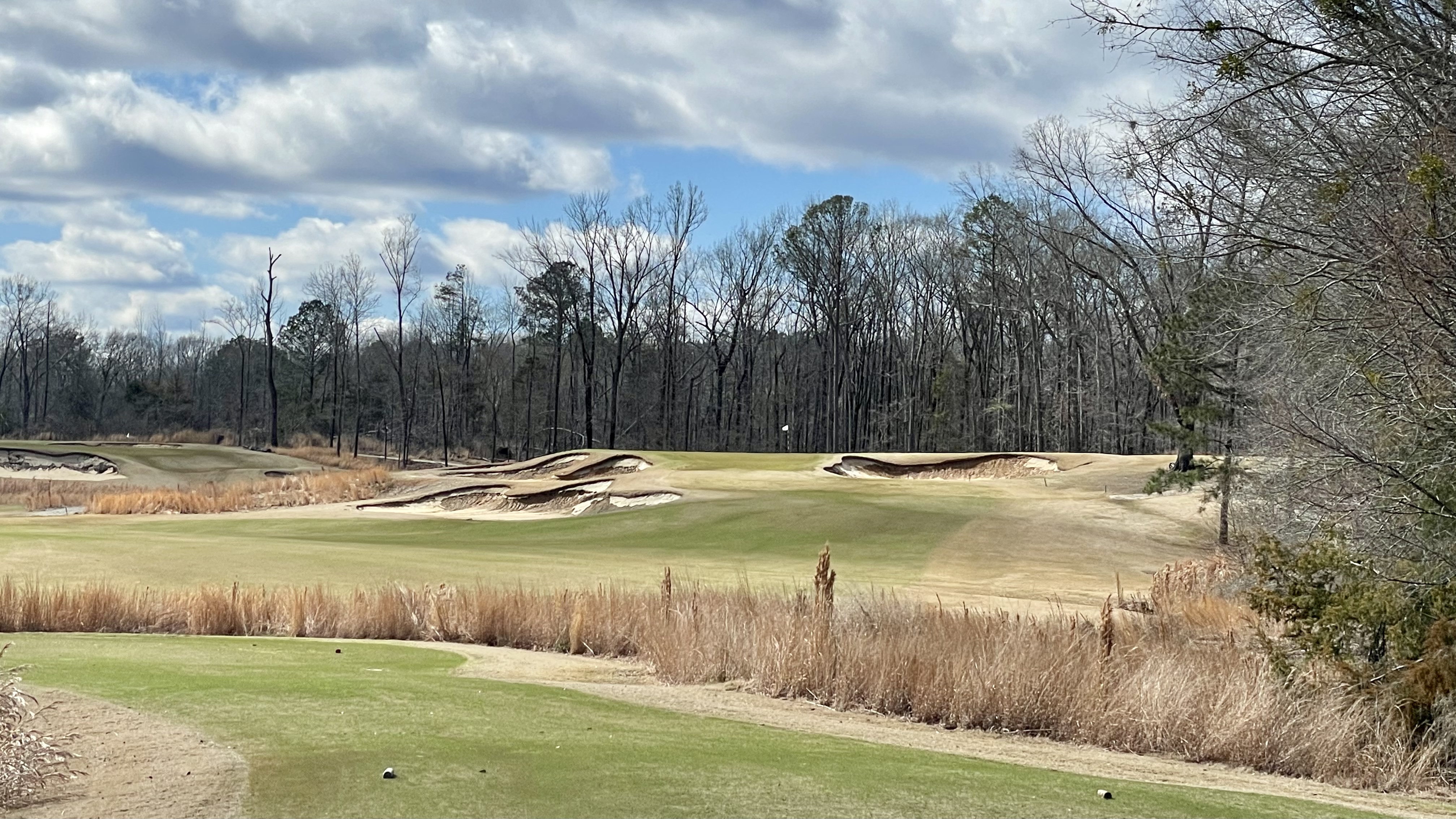 FA68D3A9-1CD8-42F7-A9B8-4E6346306539